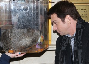 Staten Island Chuck Celebrates Groundhog Day on Broadway With Andy Karl