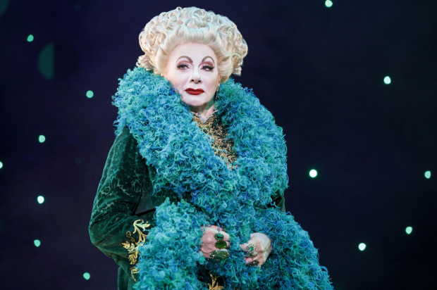 Post-Mike & Molly Tony Winner Rondi Reed Is Back on the Wicked Stage ...