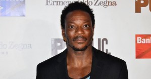 Chukwudi Iwuji, Corey Stoll, and More to Star in Shakespeare in the Park <em>Othello</em>