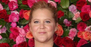 Amy Schumer and More Reportedly Tapped for Film of <em>The Humans</em>