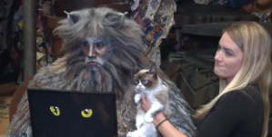 Broadway's Grumpy Cat Dies at the Age of 7