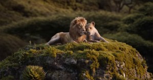 Beyoncé and Donald Glover Sing "Can You Feel the Love Tonight" in <em>Lion King</em> Trailer