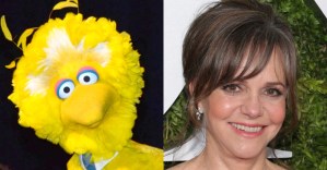 <em>Sesame Street</em>, Sally Field, and More Named 2019 Kennedy Center Honorees