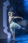 Matthew Bourne's <em>Swan Lake</em> Struts a Victory Lap at New York City Center