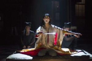 <em>M. Butterfly</em>