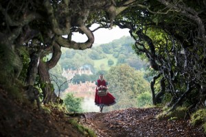 Go <em>Into The Woods</em> This Christmas