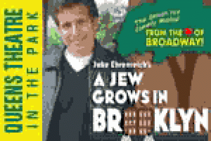 A Jew Grows in Brooklyn