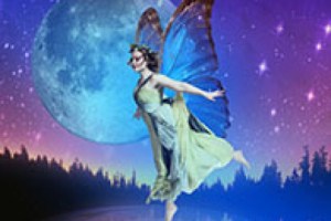 a midsummer nights dream logo 64360