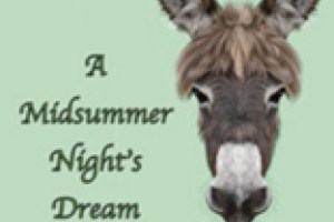 A Midsummer Night’s Dream