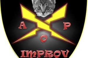 Accidentally on Purpose ~ A Night of Comedy Improv