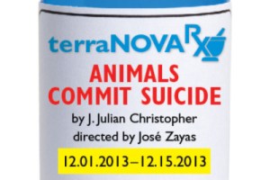 Animals Commit Suicide