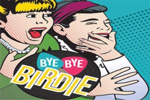 Bye Bye Birdie