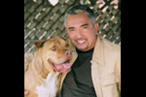 Cesar Millan: The Dog Whisperer