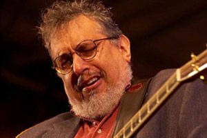 David Bromberg