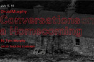 DruidMurphy: Conversations on a Homecoming