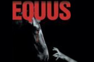 Equus