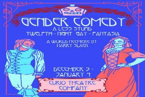 Gender Comedy:  A Less Stupid Twelfth Night  Gay Fantasia