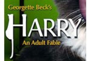 Harry – An Adult Fable