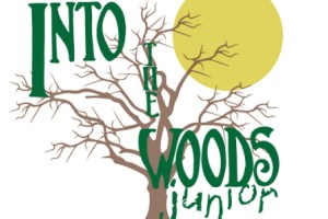 Into the Woods Jr.