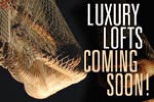 Luxury Lofts Coming Soon!