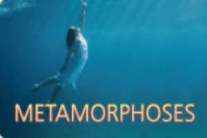 Metamorphoses