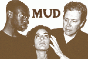 Mud