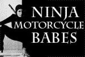 Ninja Motorcycle Babes