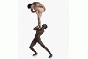 Pilobolus