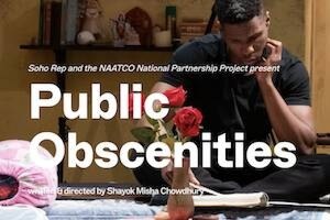 Public Obscenities