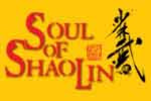 Soul of Shaolin