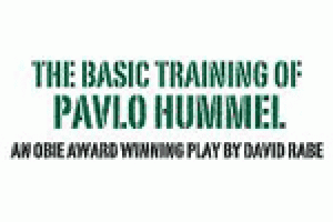 The Basic Training of Pavlo Hummel