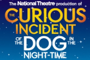 The Curious Incident of the Dog in the Night-Time