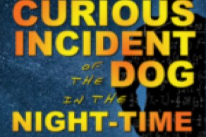 The Curious Incident of the Dog in the NIght-Time