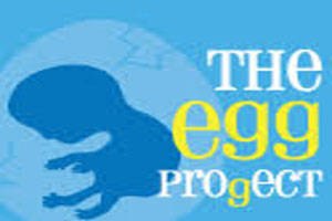 The Egg Progect