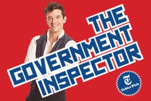 the government inspector logo 67850