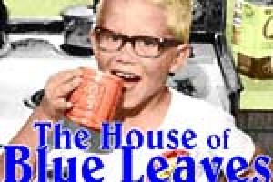 The House of Blue Leaves