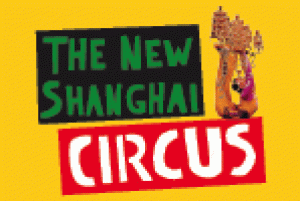 The New Shanghai Circus