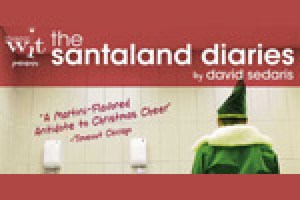 The Santaland Diaries