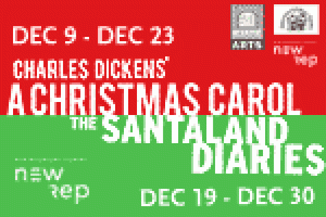 The Santaland Diaries