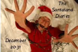 The Santaland Diaries