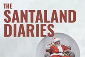 The Santaland Diaries