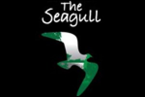 The Seagull