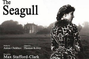 The Seagull