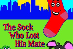 The Sock Who Lost His Mate