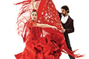 The Soul of Flamenco