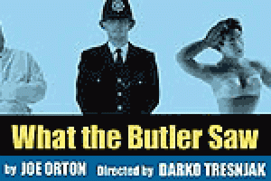 What the Butler Saw