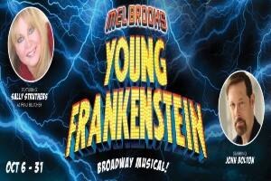 young frankenstein logo 94064 1