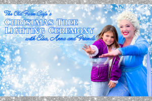 Christmas Tree Lighting Ceremony with Elsa, Anna & Friends