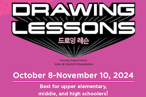 Drawing Lessons