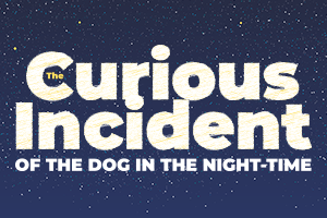 THE CURIOUS INCIDENT OF THE DOG IN THE NIGHT-TIME